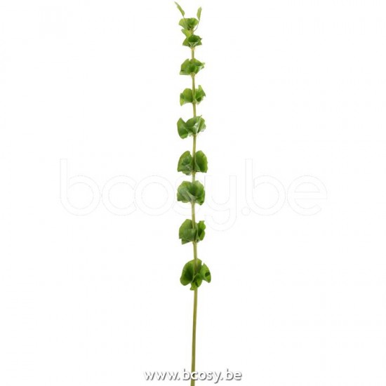 Jline 12510 Bloemen Fleurs Flowers Blumen Flores Fiori DECORATIE Kunst Bloemen Planten Bomen