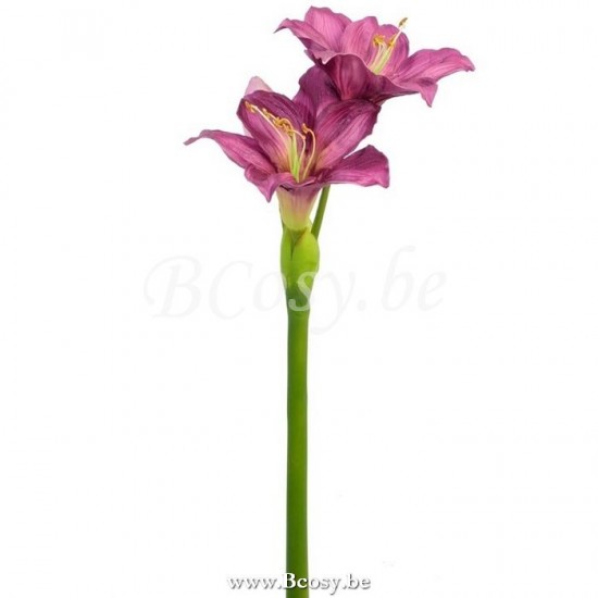 Jline 28341 Bloemen Fleurs Flowers Blumen Flores Fiori DECORATIE Kunst Bloemen Planten Bomen