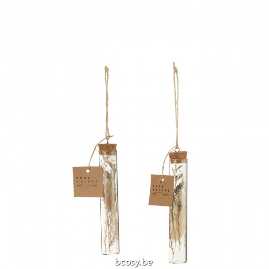 J Line Hanging Tubes With Dried Flowers Glass Natural Assortment Of 2 pendants.