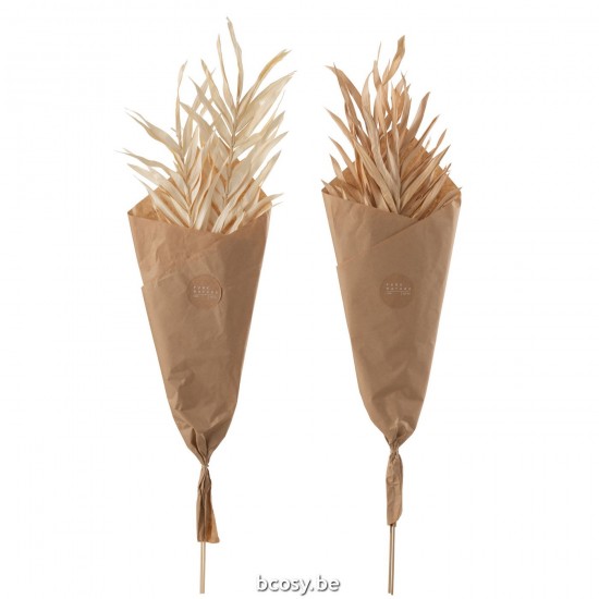 J Line Dried Leaves 2 Pieces Natural Large Assortment Of 2 dried flowers.