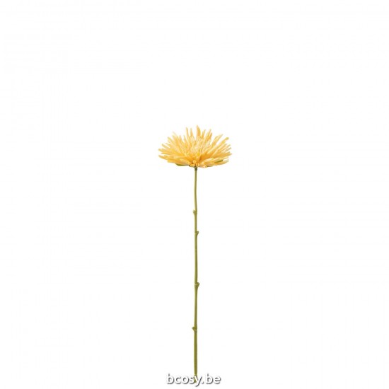 J Line chrysanthèmes Jolipa Chrysantheme Mini Plastique Jaune Clair.