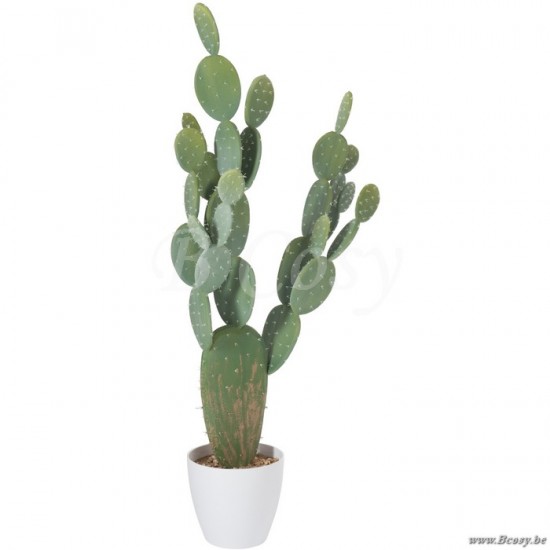 J Line Jline Cactus Pot Plastic Groen Melamine Wit Xl
