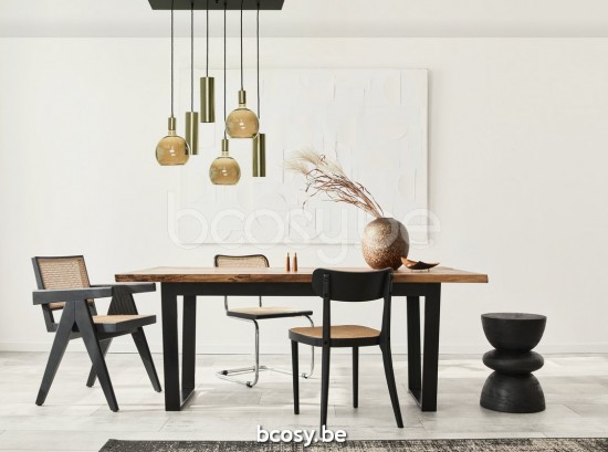 Marckdael VVD Calgary Zwart pendel VVD VDV Verlichting van Dijck Dyck Markdaal.