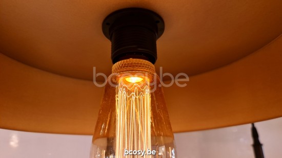 Marckdael bulbs Bronze colour Ampoules VVD VDV Verlichting van Dijck Dyck Markdaal.