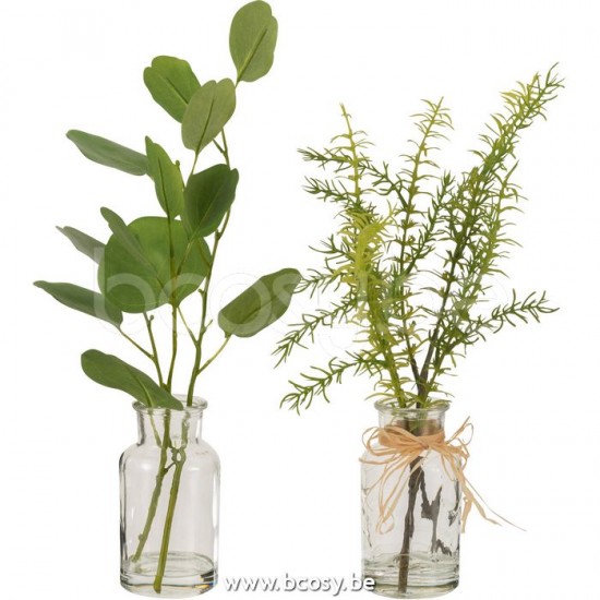 branches d'arbres Jolipa J Line Jline Eucalyptus Branches Dans Vase Verre Transparent Plastique Vert Assortiment De 2