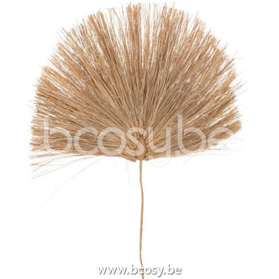 J Line Jline Jolipa 22450 Tak Blad Gras Naturel