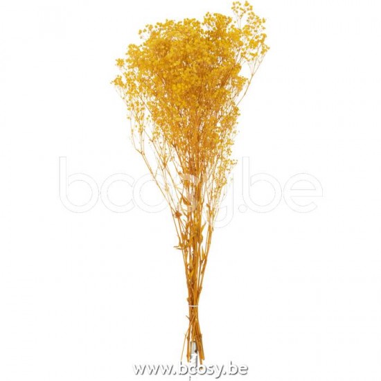 J Line Jline Jolipa 22468 Bundel Gedroogde Gypsophilia Geel