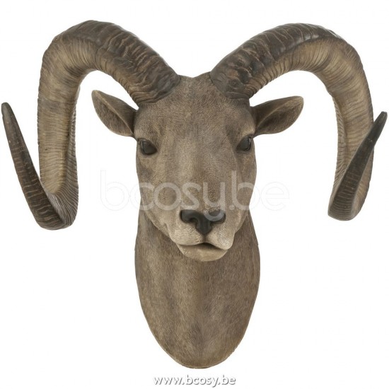 J Line 26546 Animals animal dieren Decoratie Decoracion animaux Beelden Statue Dekoration animal Animali Decorations Decorazione Figuras Figuren Decoration dieren dier Figurines Tiere