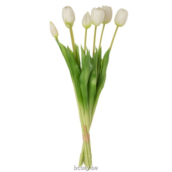 J Line bouquets de fleurs Jolipa Bouquet Tulipes 7Pieces Pu Rose Pale Large.