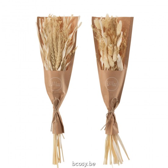 J Line Bunch Dried Avana Grass Natural Assortment Of 2 dried flowers.