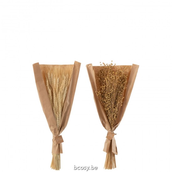 J Line Bunch Dried Tishi Wheat Grass Natural Assortment Of 2 dried flowers.