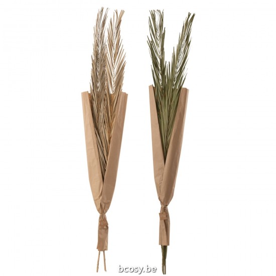 J Line Leaves Khajur 2 Pieces Green Assortment Of 2 dried flowers.