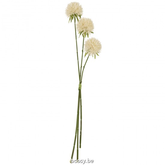 J Line plantes allium Plantes Aji Jolipa Fleur Allium 3 Pieces Plastique Blanc L.