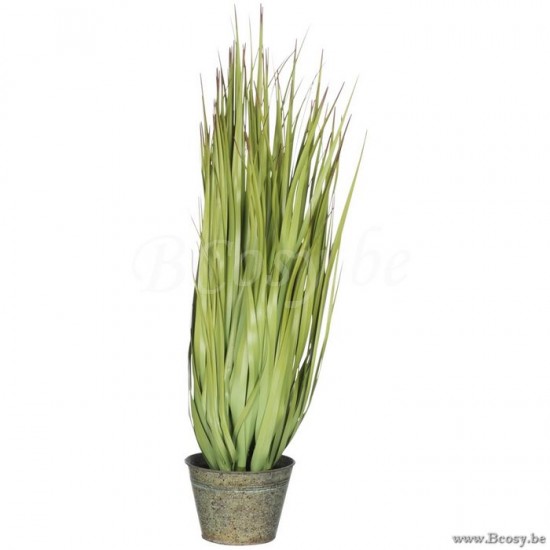 Jline Hierbas Salvaje En Maceta Metal Verde Plastico Verde Small