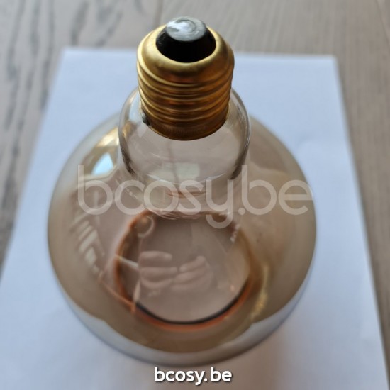 Marckdael bulbs Bronze colour Ampoules VVD VDV Verlichting van Dijck Dyck Markdaal.