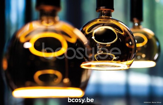 Marckdael VVD bulbs Bronskleur-Tinted lamp VVD VDV Verlichting van Dijck Dyck Markdaal.