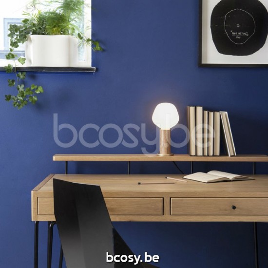 Marckdael bulbs Porcelain Bulbs VVD VDV Verlichting van Dijck Dyck Markdaal.