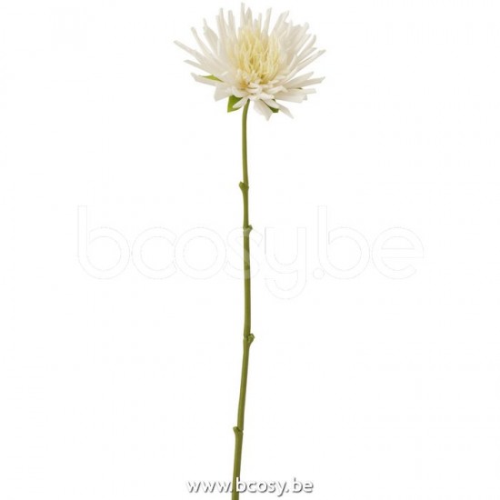 J Line Jline Chrysantheme Mini Plastik Weiß Small blumen