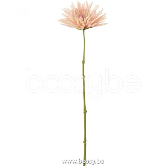 J Line Jline Chrysantheme Mini Plastik Weiß Hell Rosa blumen