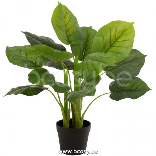 J Line Jline Pothos Plant In Pot Plastiek Groen