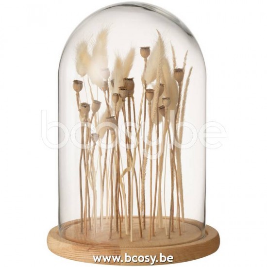 J Line Jline Bell Jar Dried Flowers Ecru Brown Glass Wood Small glass bells