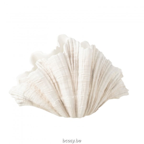 J Line Deco Vase Clam Shell Polyresin Off White deco vases.