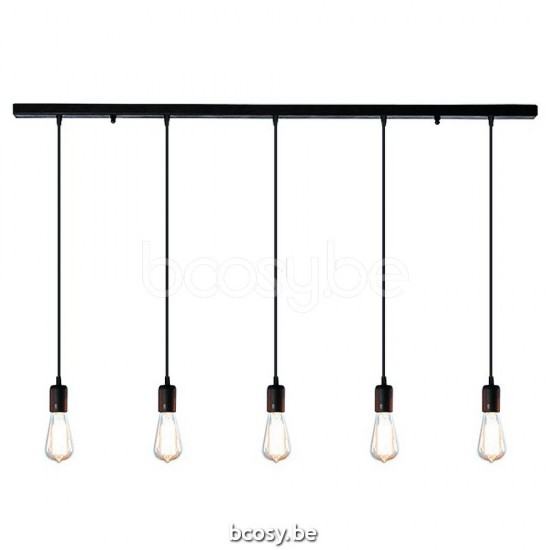 Suspended Light Van Dijk Pendellampen Van Dijk Lampes Suspendues Van Dijk Indoor Lighting Van Dijk Hanglamp Van Dijk Hanglamp Van Dijk Ampel.