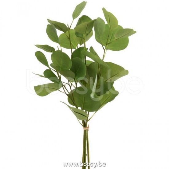 J Line Jline Eucalyptus Short In Bundle Plastic Green tree branches
