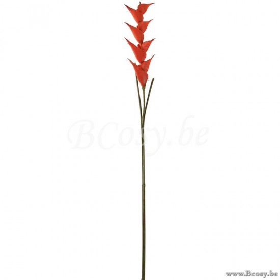 J Line Jline Ast Helikonien Plastik Orange blumen
