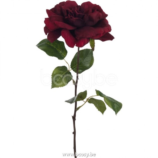 J Line Jline Rose Open 2Leaves Dark Red flowers