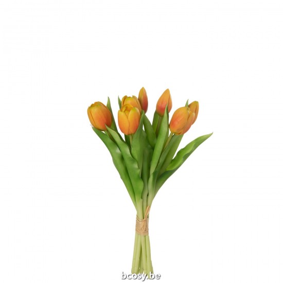 J Line Bouquet Tulips 7Pieces Pu Orange Small flower bouquets.