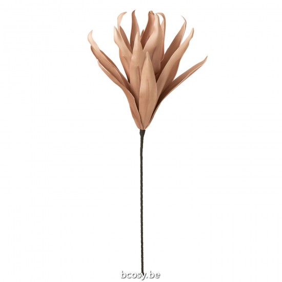 Jline Blume Ast Lang Blätter 1 Kopf Eva Nude Rosa Verschiedene Blumen.