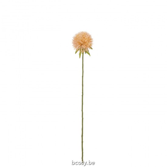 J Line Flower Allium Plastic Pink Peach S allium plants Aji plants.