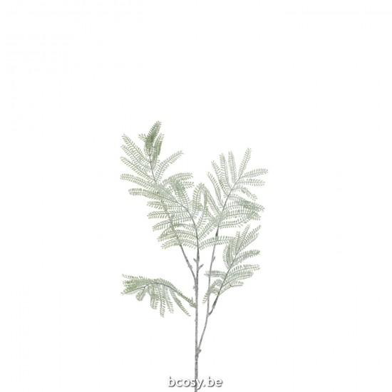 J Line 37582 Wohnzubehoer tree branches Woon Accessoires branches d arbre Accessori Della Casa Decoratie Decoration Baumzweig.