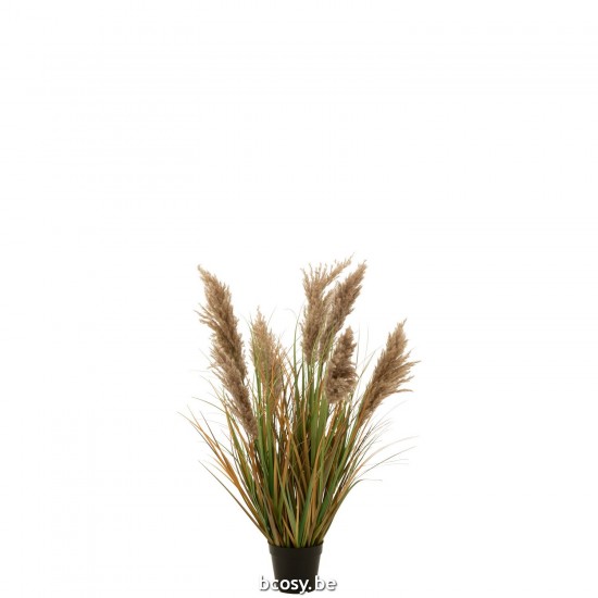 J Line Pampas Grass 7 Heads In Pot Pvc Green Beige Small.