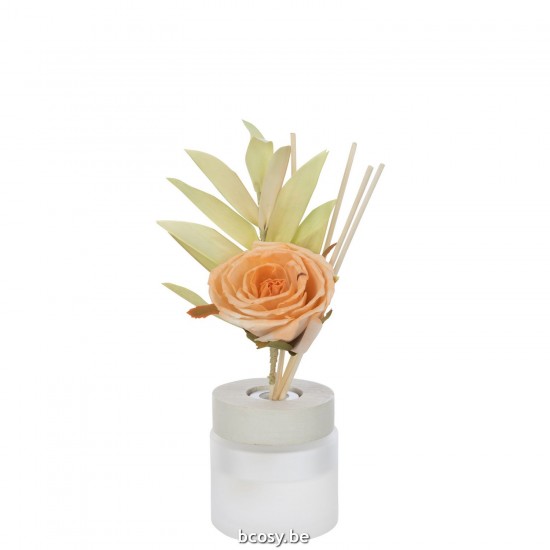 J Line Scented Oil Flower Glass Orange scent diffusers.
