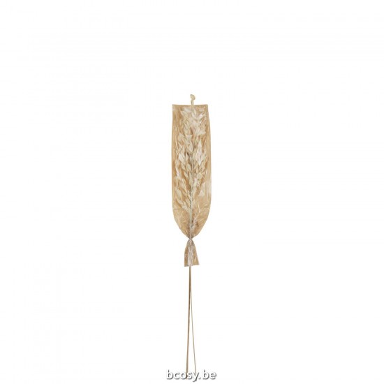 J Line 43855 fleurs séchées fleurs séchées droogbloem droogbloem Trockenblumen droogbloemen dried flowers dried flowers Trock.