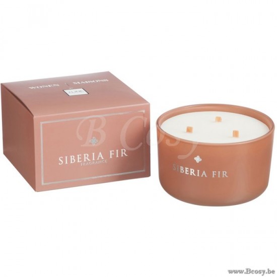 J Line Jline Scented Candle Siberia Fir scented candles