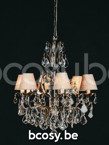 Marckdael chandeliers-francese antique silver Éclairage Armatures Luminaires D'intérieur Lustres VVD VDV Verlichting van Dijck Dyck Markdaal.