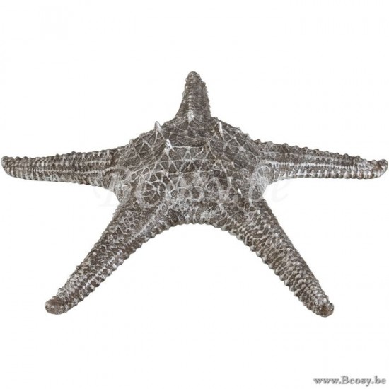 J Line Jline Stella Marina Resina Grigio Argento Estrella De Mar Resina Gris Plateado