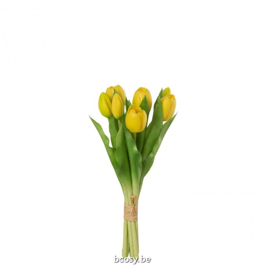 Jline Strauß Tulpen 7 Stück Pu Gelb Small Blumenstrauß Blumenstraueße.