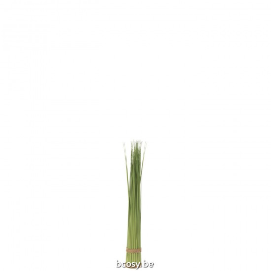Jline Kräuter Bündel Plastik Grün Small Gras gräser.