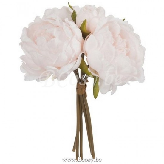 J Line Jline Büschel Pfingstrosen 5Stücks Hell Rosa Small blumen