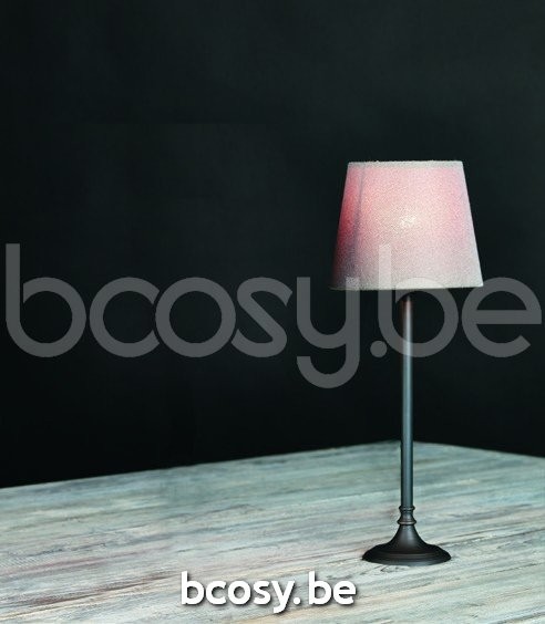 Marckdael VVD VDV EAN barcode 1x5420059206805+1x5420059212936 Verlichting van Dijck Dyck Markdaal VVD VDV.