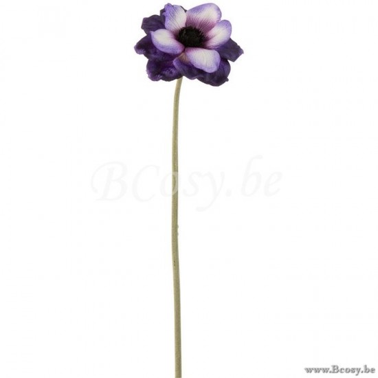 J Line Jline Anemone Plastica Malva Bianco Anemone Plastico Morado Blanco