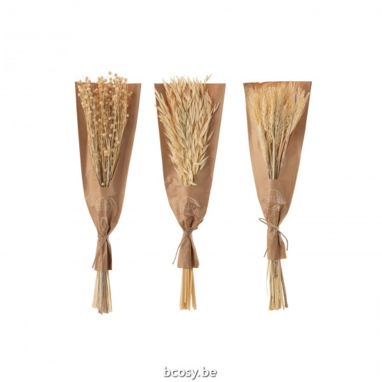 Jline Bunch Dried Flowers Natural Assortment Of 3.