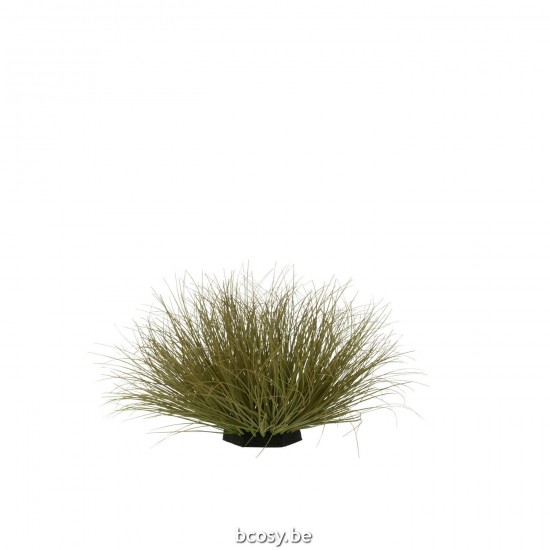 J Line 33106 grassen gras grasses Gräser Herbes herbes Grass Gras gras.