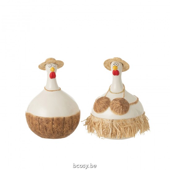 Jline Gallina Nuez De Coco Ceramica Blanco Natural Large Surtido De 2.