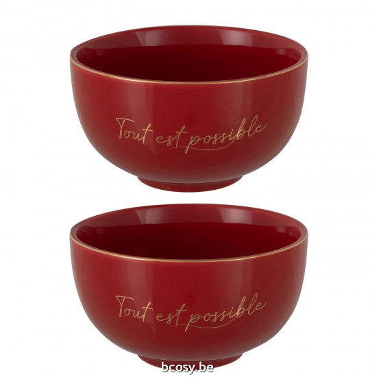J Line Scatola 2 Ciotole Tout Est Possible Rosso Oro Large Caja De 2 Cuencos Tout Est Possible Rojo Oro Large.