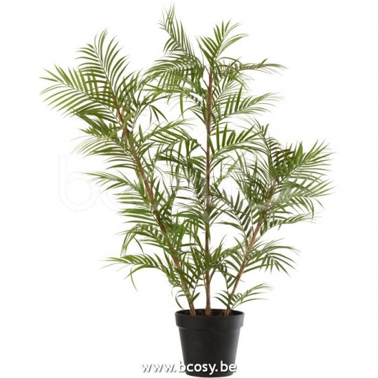 J Line Jline Palma In Vaso Plastica Verde Nero Large Chamaedorea En Maceta Plastico Verde Negro Large